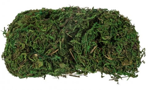 ACC CRECHE DE NOEL DECO MOUSSE 50GR